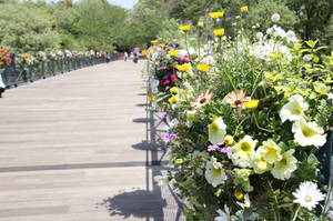 anderusenkouen 062.jpg